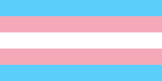 trans inclusion
